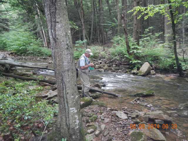 fowlers hollow.Laural run 06-09-14 056.jpg -                                